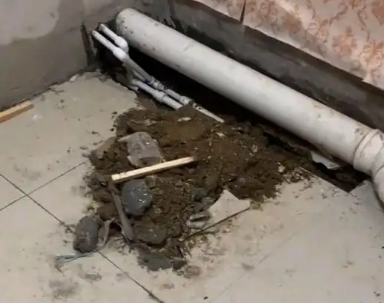察哈尔右翼中卫生间漏水检测哪家好