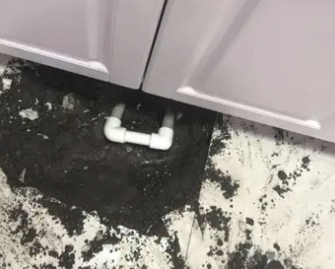 察哈尔右翼中查漏水哪家好