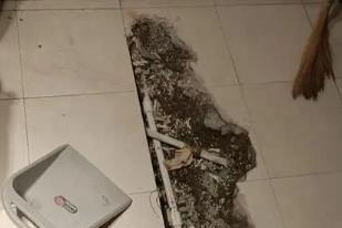 察哈尔右翼中卫生间漏水检测电话